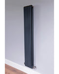 Cassius Mild Steel Vertical Radiator
